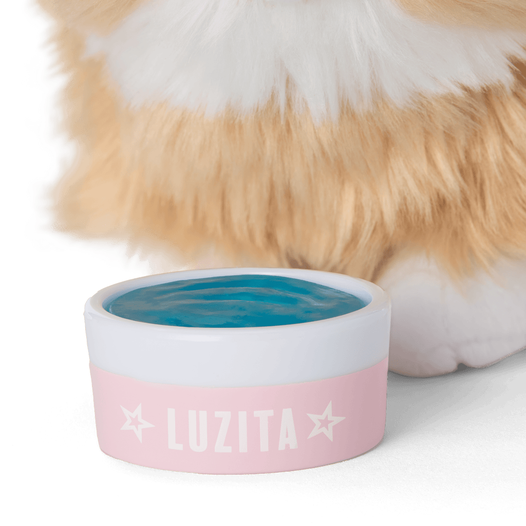 Raquel's™ Dog, Luzita™ (Girl of the Year™ 2026) D8