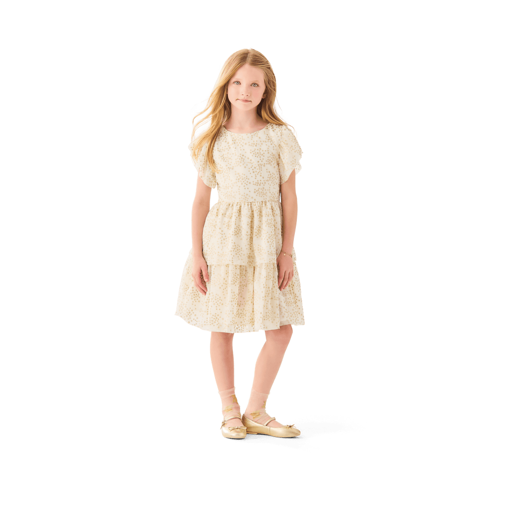 American Girl® x Janie and Jack Sparkly Cream Celebration Dress for Little Girls & Girls A3