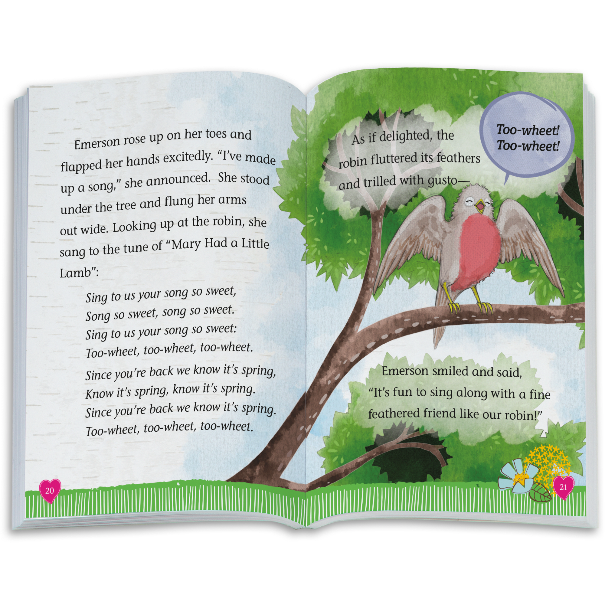 The Riddle of the Robin Book (WellieWishers™) D5