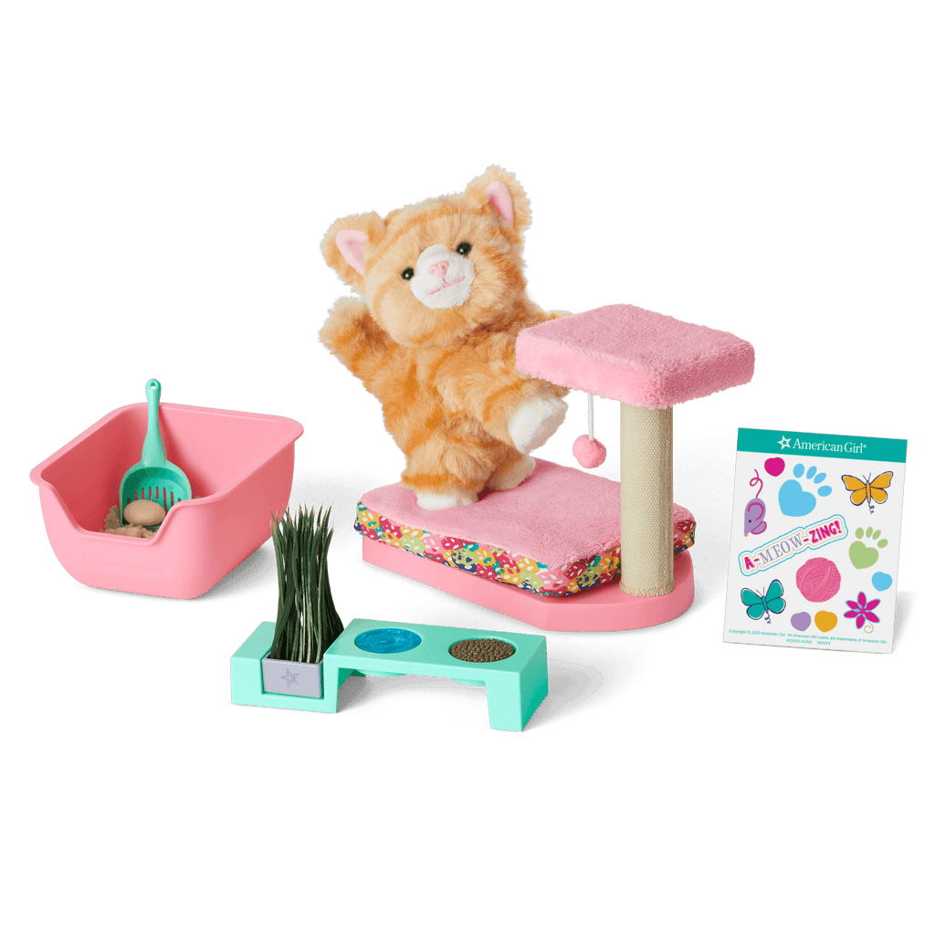 Cat Care Essentials A6