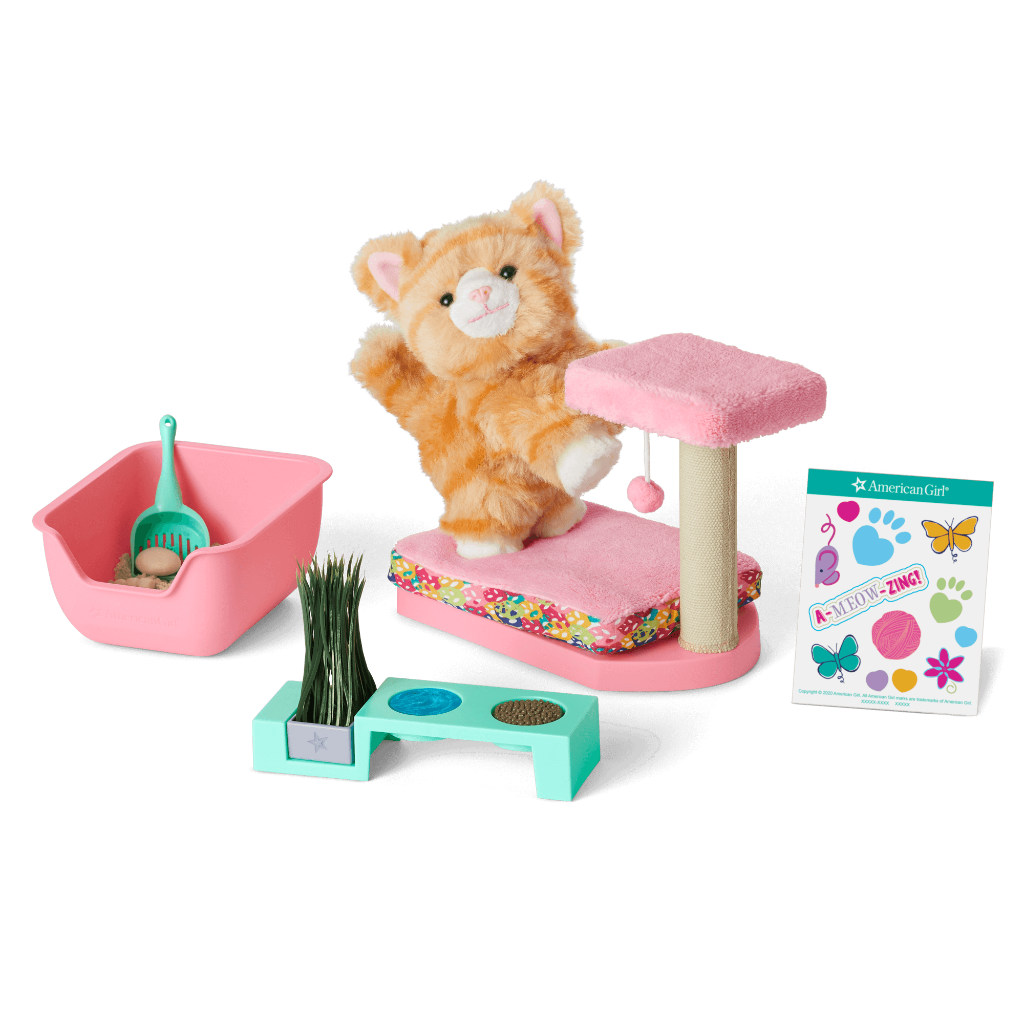 Cat Care Essentials A6