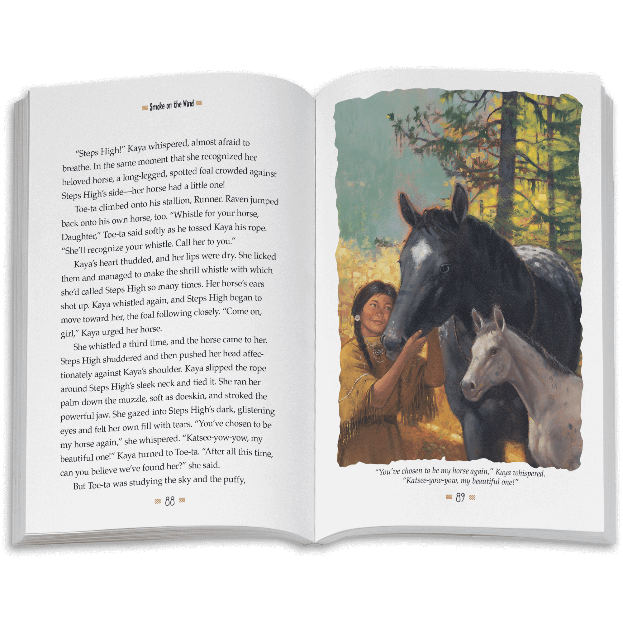 Smoke in the Wind: Kaya Book 2  (Historical Characters) B1