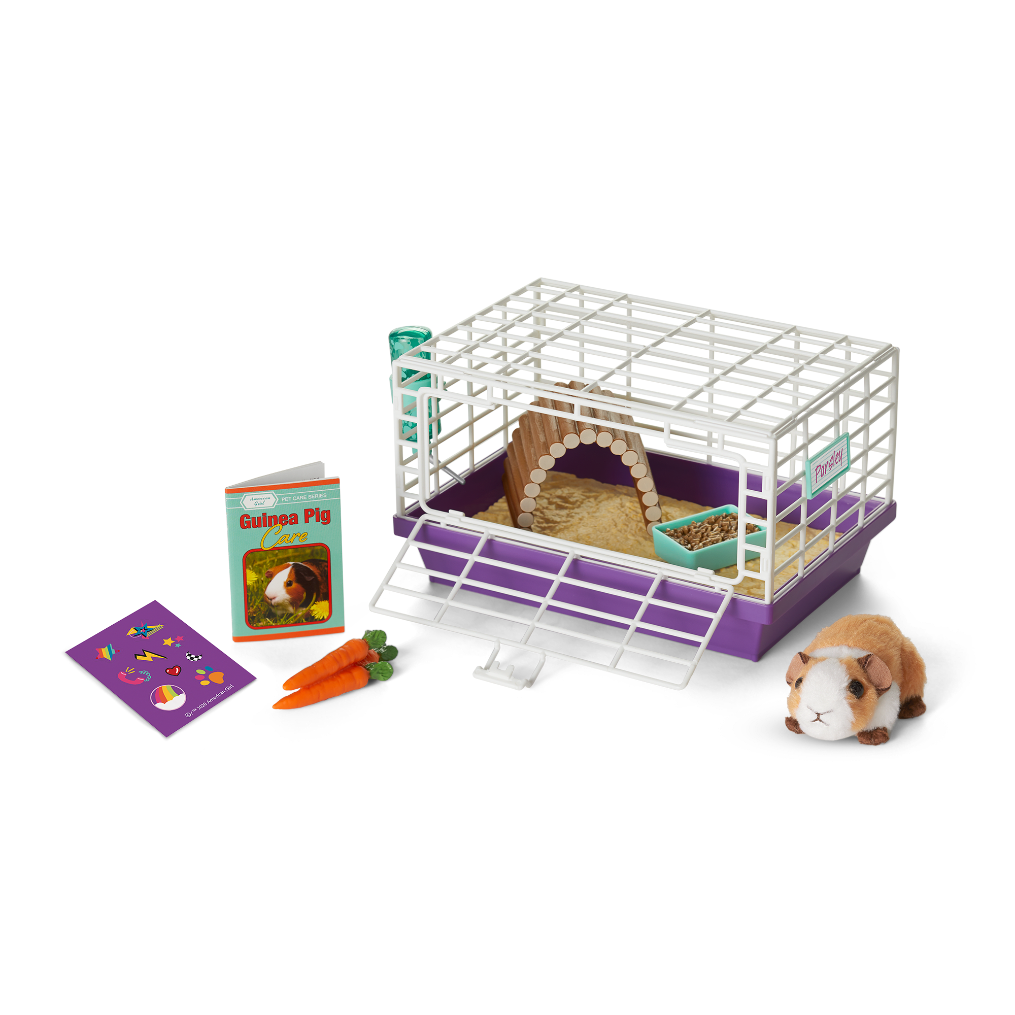 Courtney's™ Guinea Pig (Historical Characters) C8