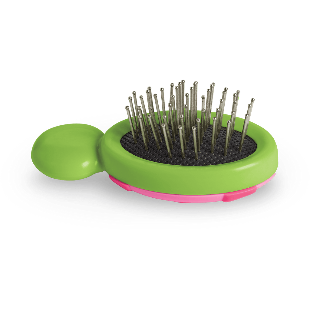 Little Ladybug Brush A9