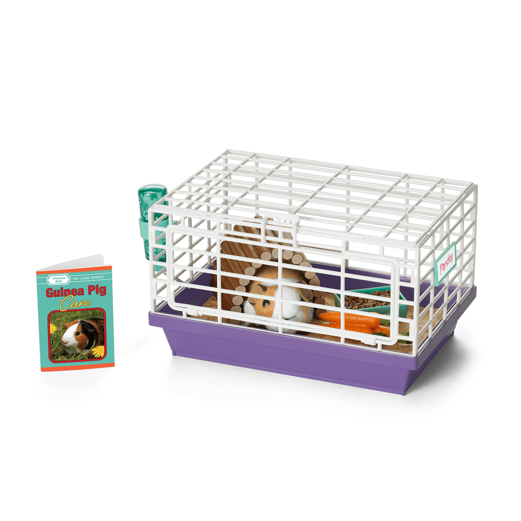Courtney's™ Guinea Pig (Historical Characters) C8