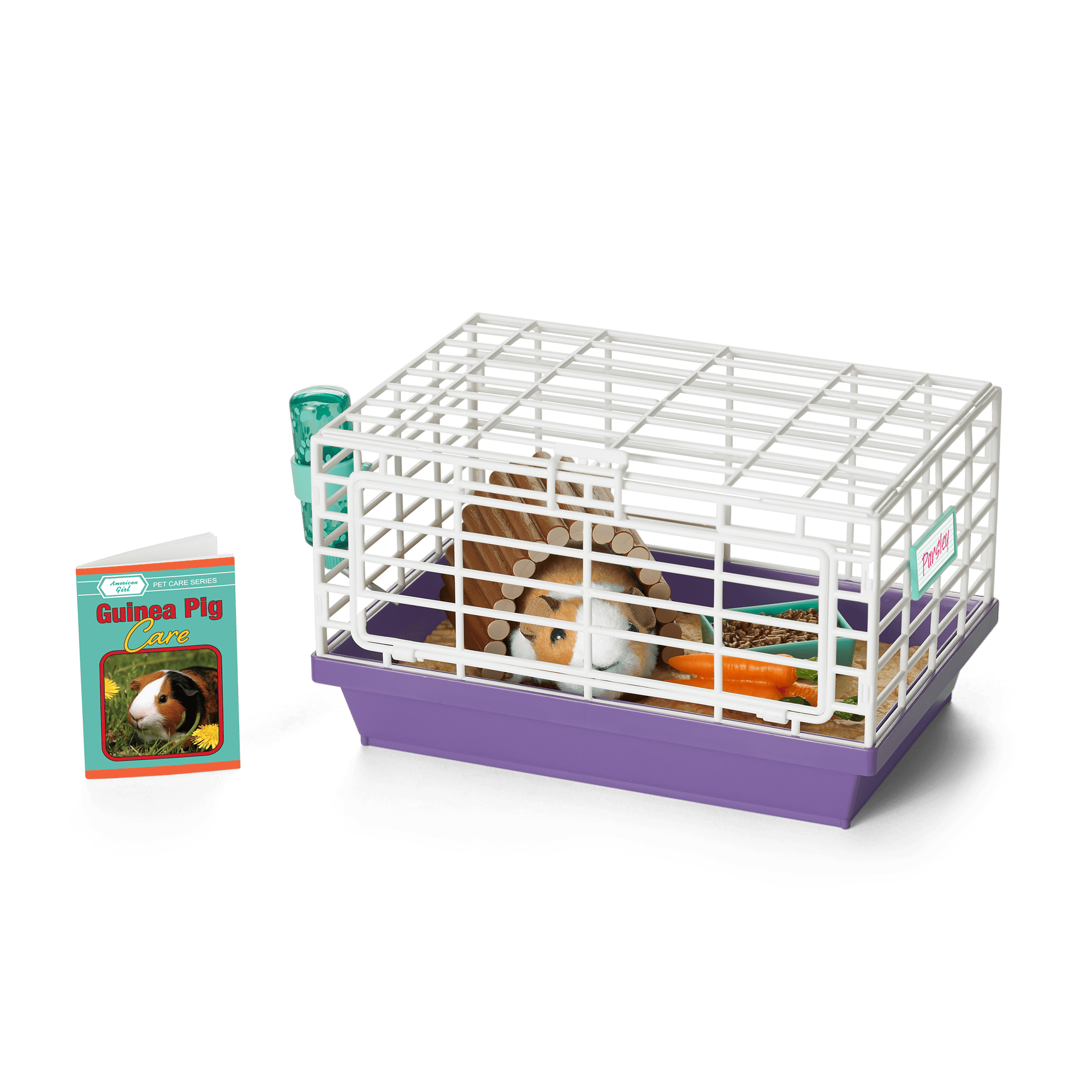 Courtney's™ Guinea Pig (Historical Characters) C8