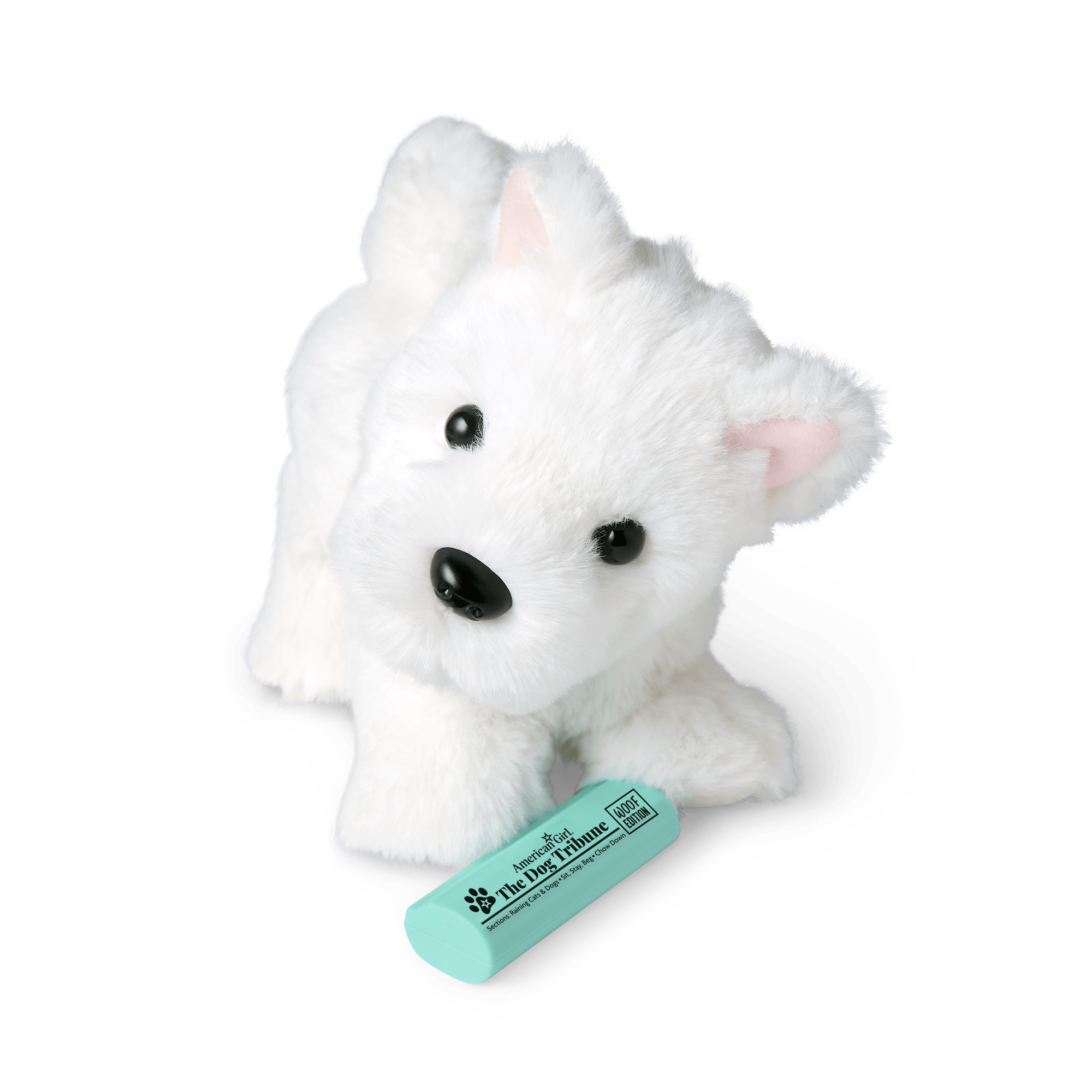 Coconut Chip™ Dog for 18-inch Dolls A5