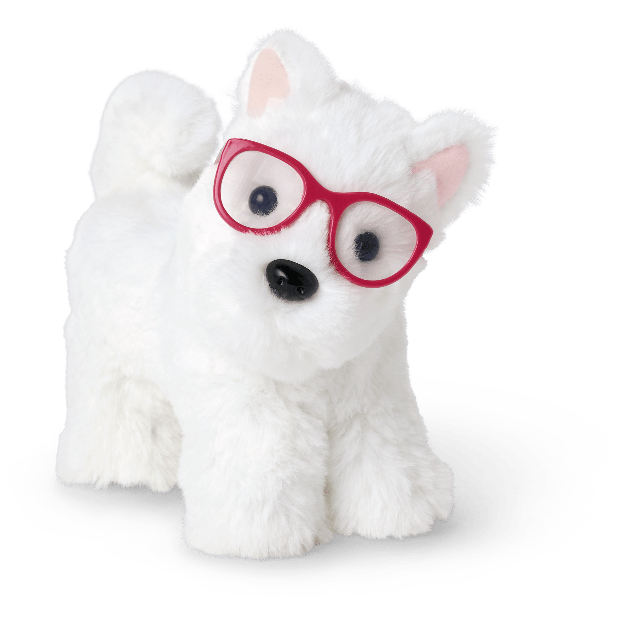 Fancy Pet Fashion Accessories F4