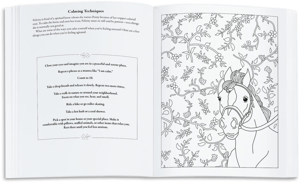American Girl® Coloring Journal C6