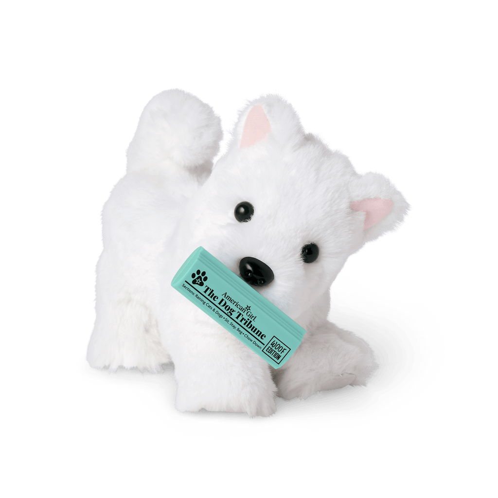 Coconut Chip™ Dog for 18-inch Dolls A5