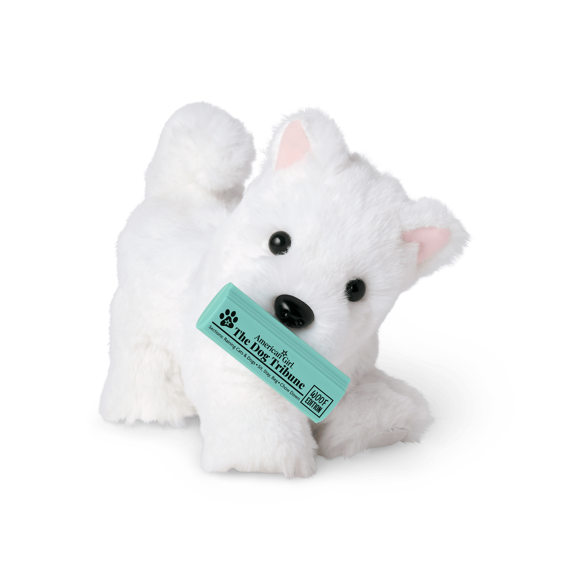 Coconut Chip™ Dog for 18-inch Dolls A5